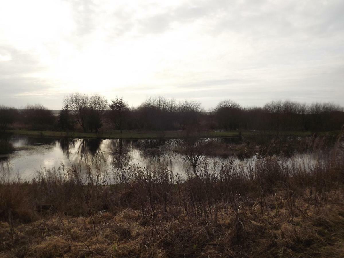 Marsh Water Ponds Fishery Villa Kidwelly Exterior photo